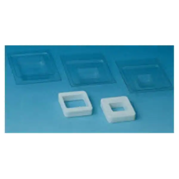 Cryomold® Standard Cryomold Tissue-Tek Mold Plastic 25 mm x 20 mm x 5 mm (100/PK 12PK/CS) by Andwin Scientific  ID 25608-916
